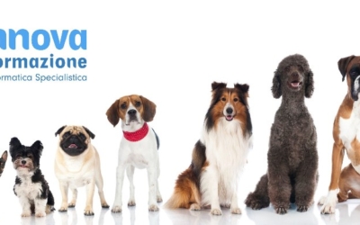 Applicazioni dell'AI sui cani