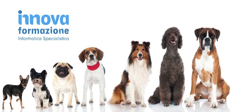 Applicazioni dell’AI sui cani